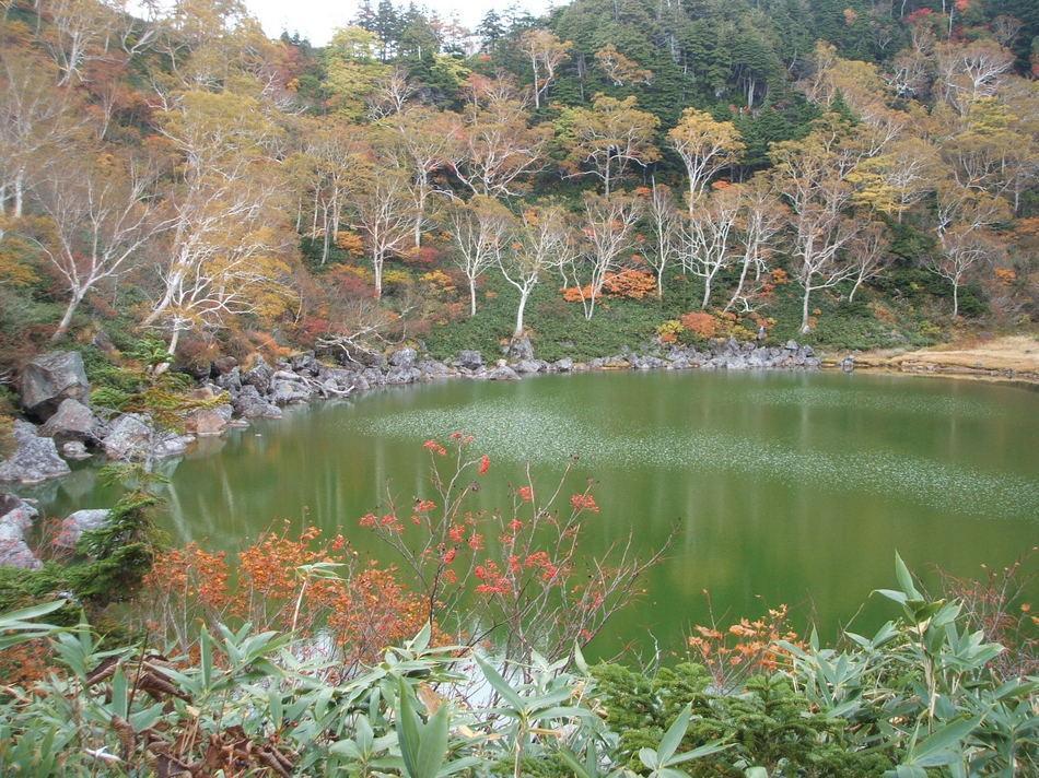 Natural Pension Pumpkin Otari Exterior foto